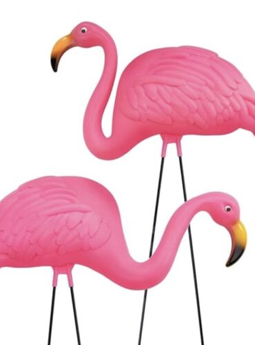 EC0B76A9-93BE-4210-986F-C78AA756A694jpeg