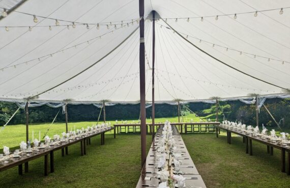 Lights, String - Installed (40x60)