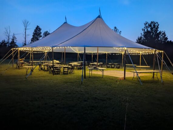 Lights, String - Installed (40x60)