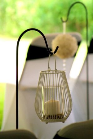 B24892C6-E3E0-4A0C-94E9-9BE708A75008jpeg