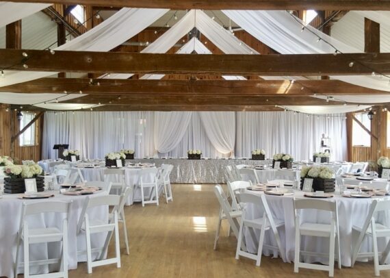 Backdrop - 25ft - 36ft - Installed