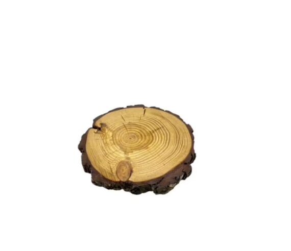 Wood Slab - Pine 11"