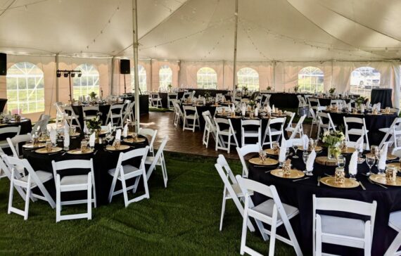 Chair - White, Padded