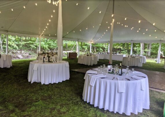 Lights, String - Installed (40x60)