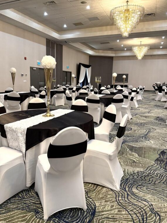 Chair Cover - White, Spandex #607