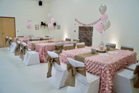 Chair Cover - White, Spandex - Ruched #605