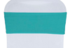 Sash - Spandex, Turquoise #537