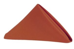 Napkins - Terra Cotta #323