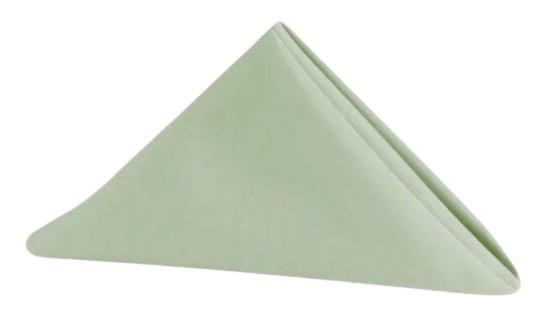 Napkins - Mint #303