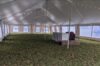40×80 – Pole Tent – Anchor Century