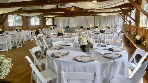 Runner, Sequin - Silver