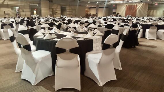 Chair Cover - White, Spandex #607