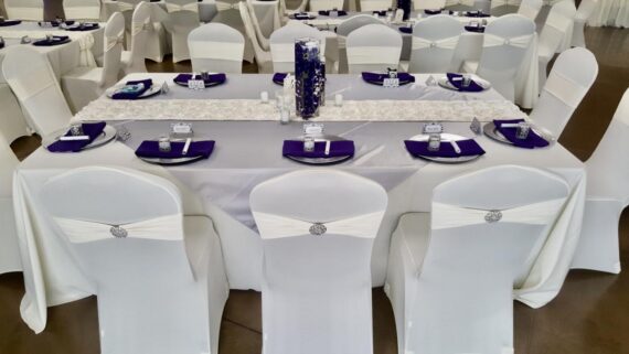 Chair Cover - Ivory, Spandex #604