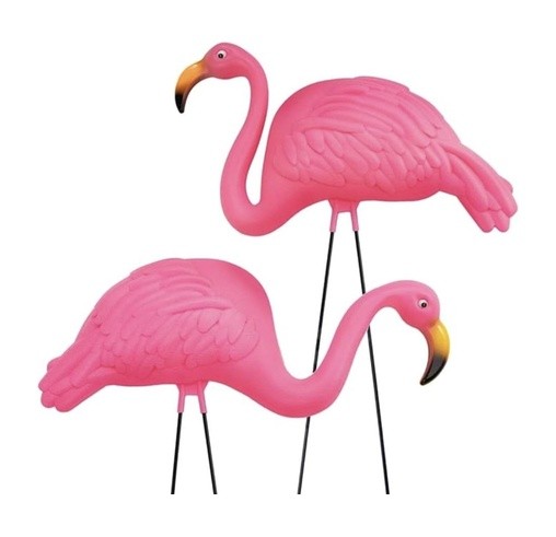 flamingos508x491proportionaljpg